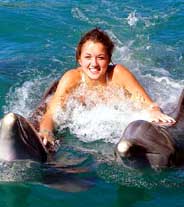 Swim with the Dophins